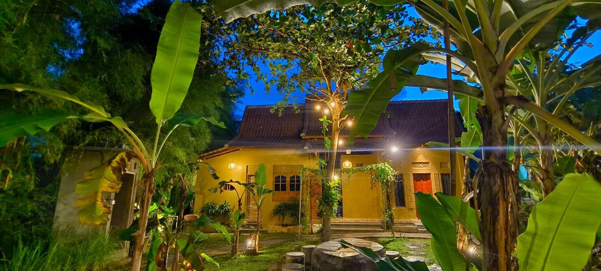 Damuh Guest House Ubud Eksteriør billede